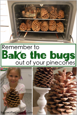 Bake the bugs out of your pinecones!
