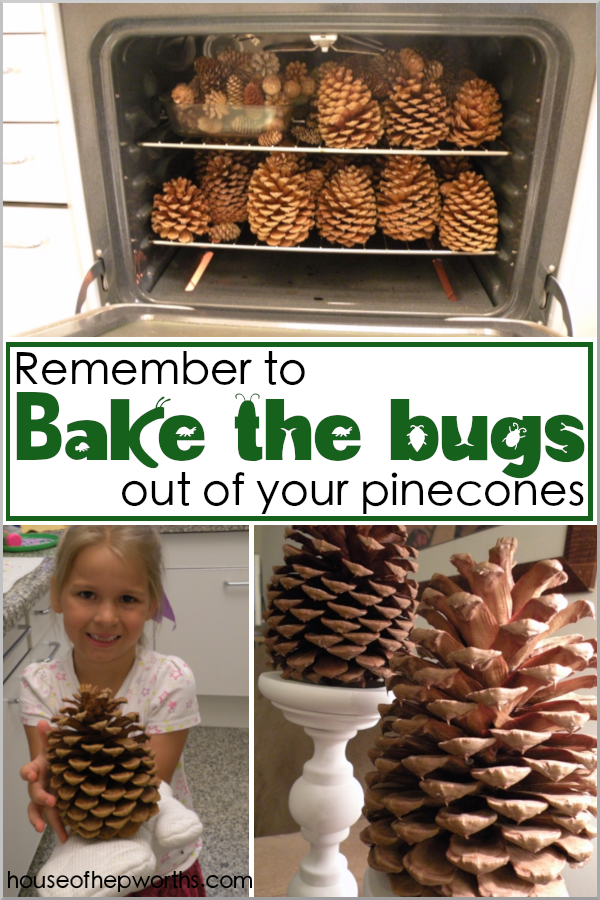 DIY Painted Pine Cones - Two Sisters