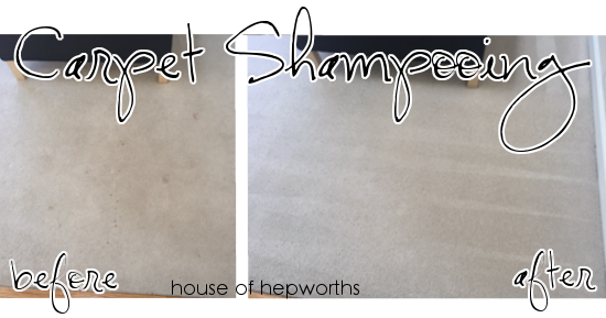 When you can’t replace carpet, at least shampoo it